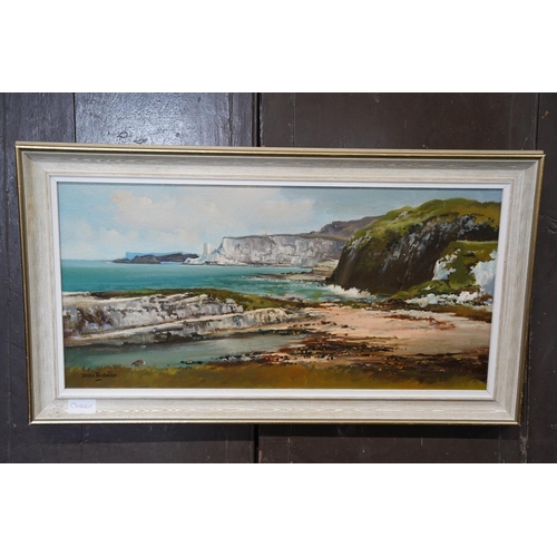 128 - A stunning vintage framed oil painting signed Denis Thornton, measuring 60x29cm.