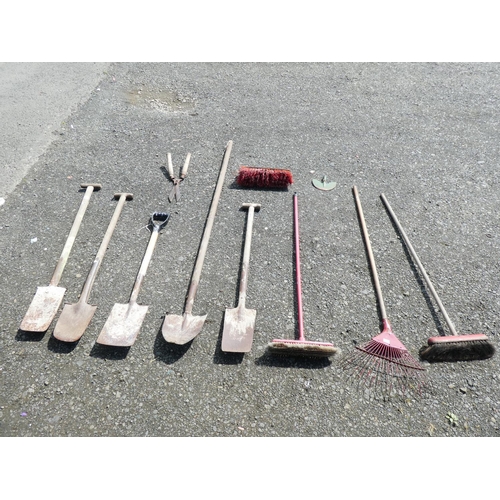 591 - An assortment of gardening tools.