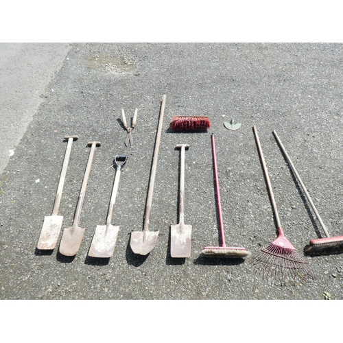 591 - An assortment of gardening tools.