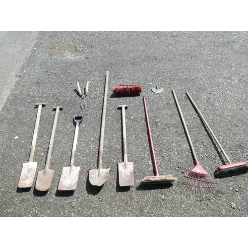 591 - An assortment of gardening tools.