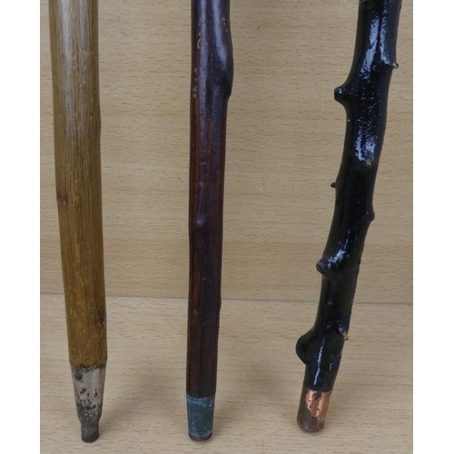 4 - A blackthorn walking stick and two others.