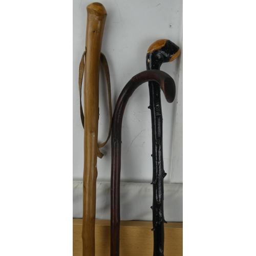 4 - A blackthorn walking stick and two others.