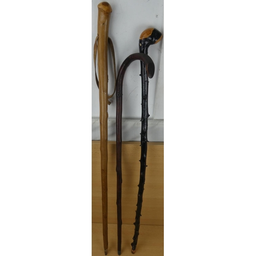 4 - A blackthorn walking stick and two others.