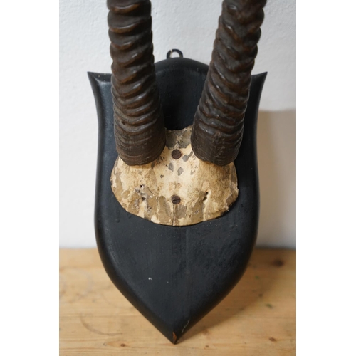 289 - A stunning mounted set of animal horns, measuring 39