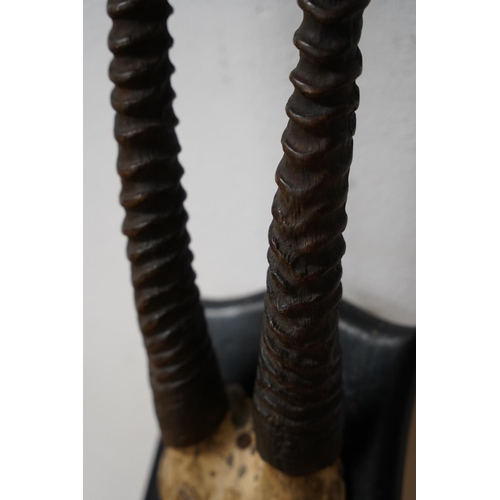 289 - A stunning mounted set of animal horns, measuring 39