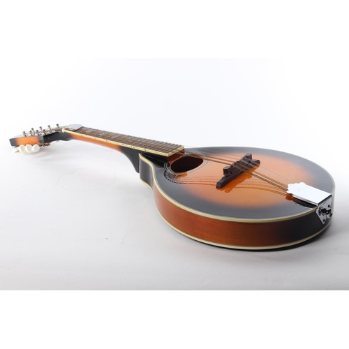 5 - A McBride Mandolin with Celtic designs and carry case.