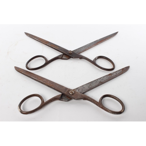 67 - Two pairs of vintage tailor scissors.