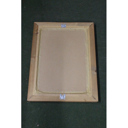 198 - A pine framed bevelled glass mirror. Approx  63x47cm.