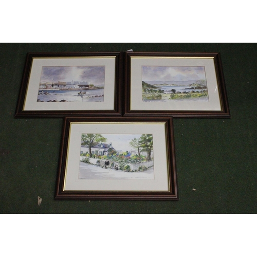 245 - A set of 3 framed watercolour paintings, signed J Steen.