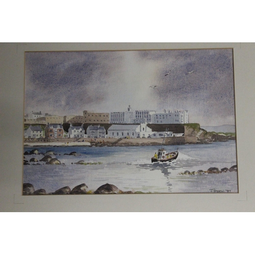 245 - A set of 3 framed watercolour paintings, signed J Steen.