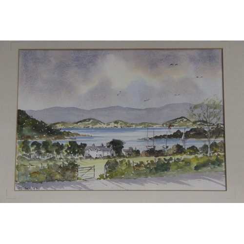 245 - A set of 3 framed watercolour paintings, signed J Steen.