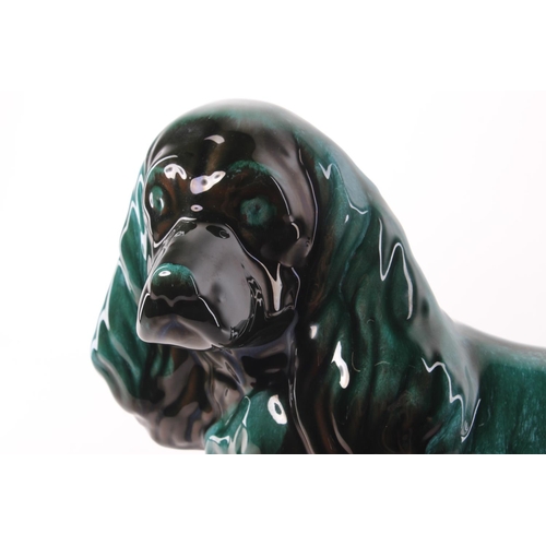 503 - A large Blue Mountain Pottery spaniel. Approx 34x28cm