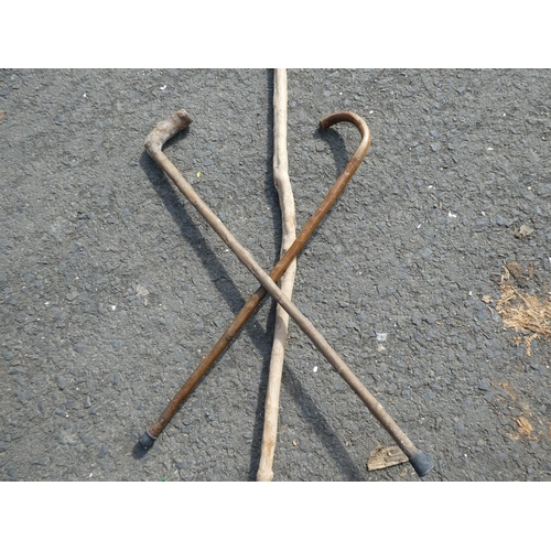 497 - Two handcrafted walking sticks and another.