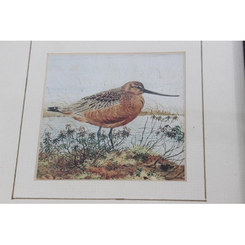 308 - Three small framed pictures of birds and a small wooden framed tapestry.