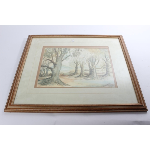 600 - A watercolour of a forest scene by artist A.D.MinKelly.