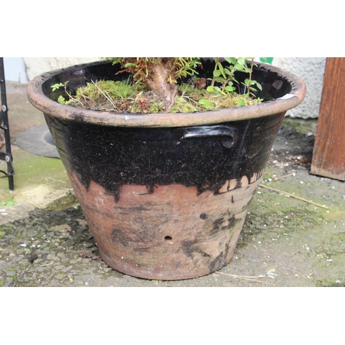 96 - A large antique milk crock, used as a planter, measuring 47cm diameter x 33cm high.