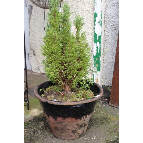 96 - A large antique milk crock, used as a planter, measuring 47cm diameter x 33cm high.