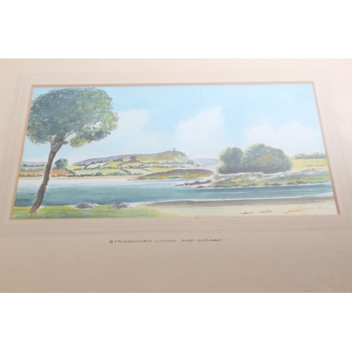 209 - An early watercolour of Strangford Lough and Scrabo by Irish artist, Tom W Irwin, painting measures ... 