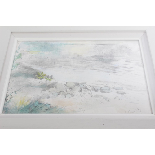 406 - A stunning framed pencil drawing of a rivers scene signed by Irish Artist, Tom Carr, dated 1982, pai... 