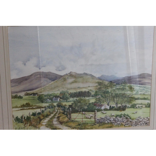 590 - A large mahogany framed watercolour of an Irish rural scene signed B Cheney.