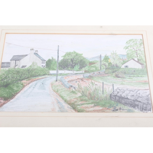 681 - A set of four coloured pencil drawings, signed S O'Neill.