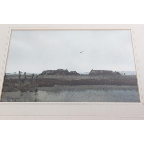 682 - An early framed watercolour 'Bogland, Carclinty, Co Antrim' signed W J Haughton.