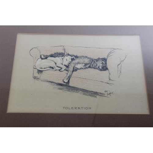 686 - A framed print, 'Toleration' signed Cecil Aldin