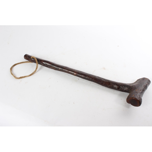 708 - An Irish shillelagh.