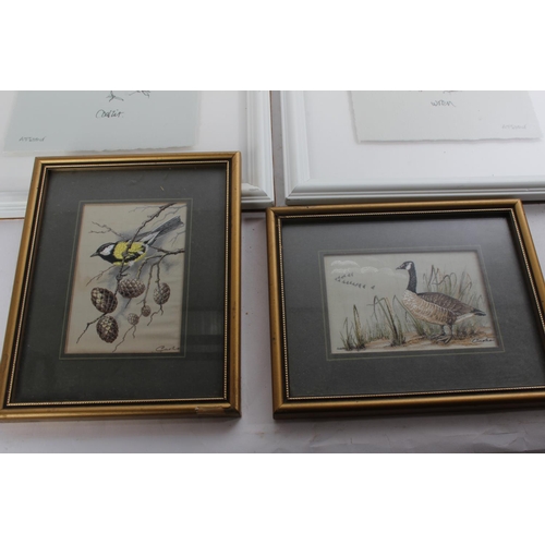 730 - A framed watercolour of a robin signed JK 96, two framed Laura Ashley pictures signed A Fletcher and... 