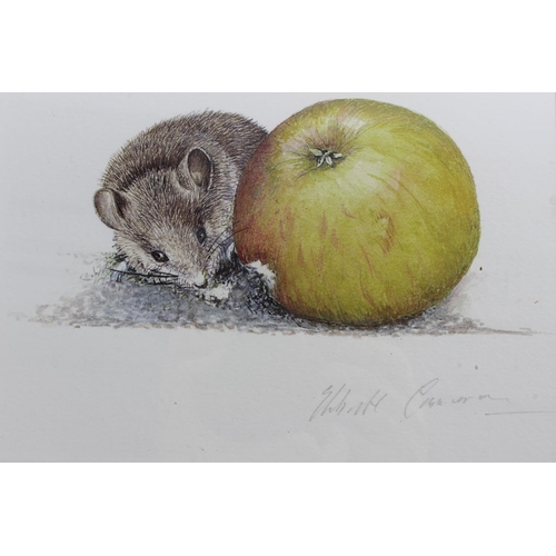 739 - A signed print of a mouse and apple.