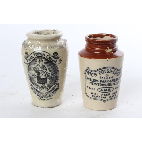 790 - Two antique stoneware jars 'Willow Park Creamery, Newtownbutler' and 'Wigtownshire Creamery, Ballymo... 