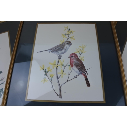 861 - Three framed pictures of birds.