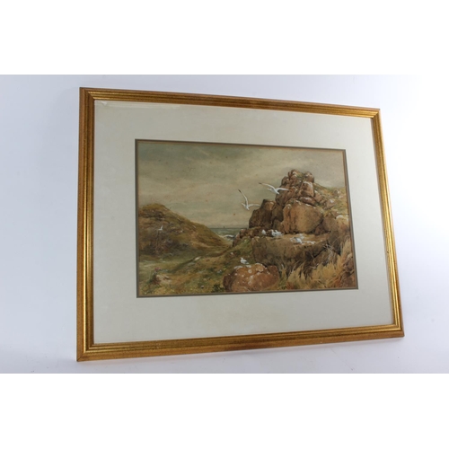 175 - A stunning early watercolour painting of seagulls in a Coastal scene, with no visible signature, pai... 