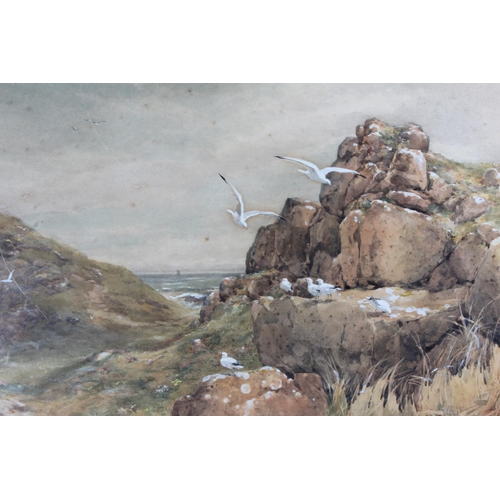 175 - A stunning early watercolour painting of seagulls in a Coastal scene, with no visible signature, pai... 