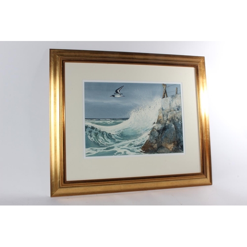176 - A stunning framed watercolour painting of a bird flying at a Coastal scene, signed J McNulty 45cm 32... 
