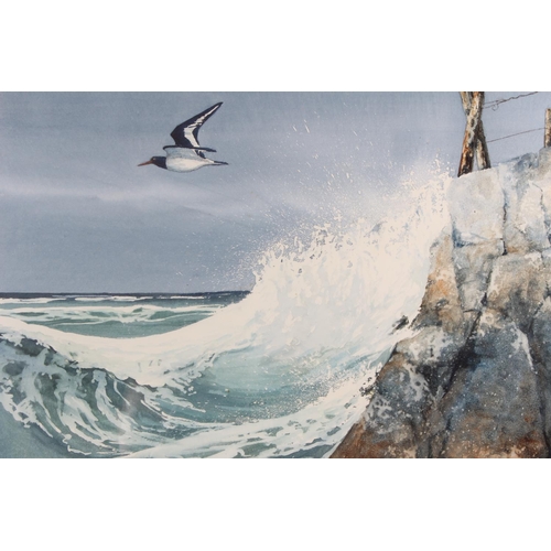 176 - A stunning framed watercolour painting of a bird flying at a Coastal scene, signed J McNulty 45cm 32... 