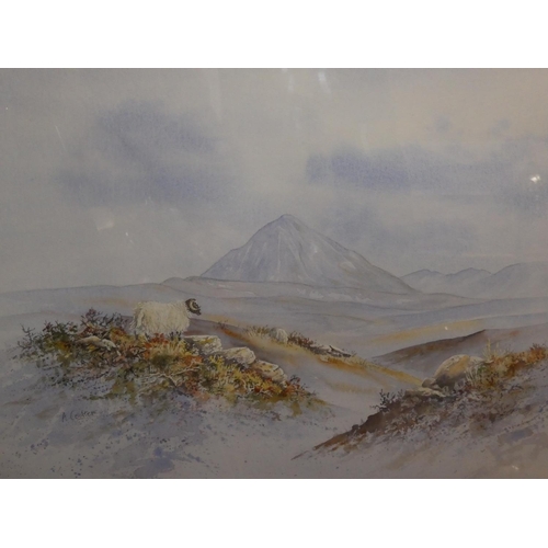 442 - A stunning large framed watercolour 'Looking towards Mount Errigal' by Irish artist Ashley Coulter, ... 