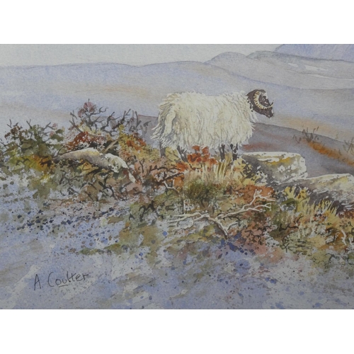 442 - A stunning large framed watercolour 'Looking towards Mount Errigal' by Irish artist Ashley Coulter, ... 