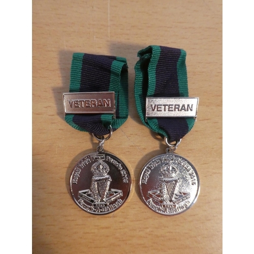 78 - Two Royal Irish Parade 2015 medal.