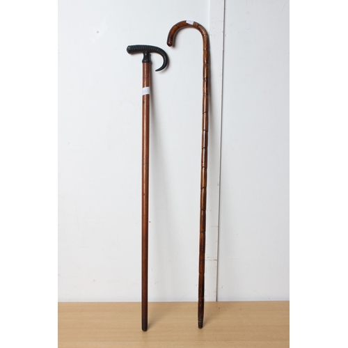 Sold at Auction: Bamboo Fishing Pole & Walking Stick  Walking sticks, Fishing  pole, Walking sticks and canes