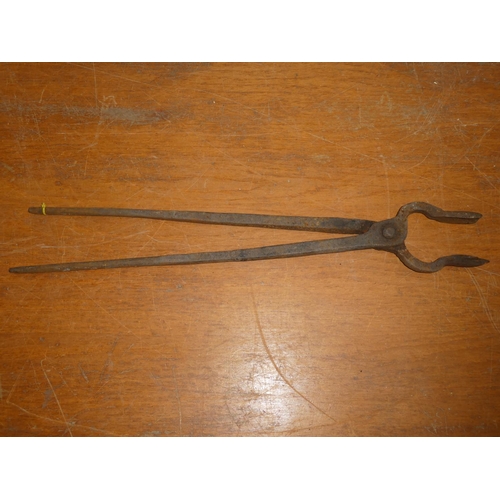 Lot 31        