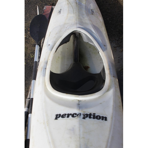 1 - An Ace-Perception Mirage Kayak and paddle.