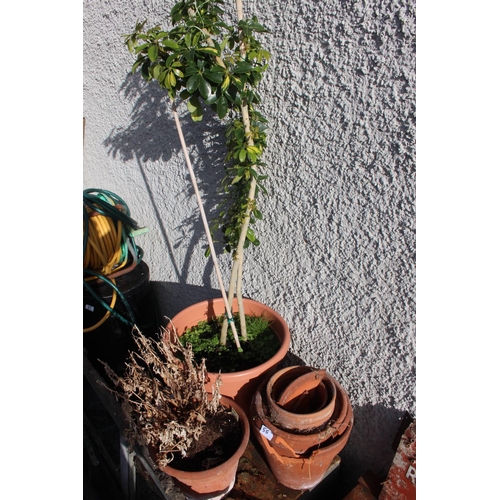 55 - An assortment of planters/ pots.