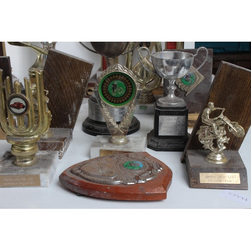 478 - A large lot of assorted trophies and more.