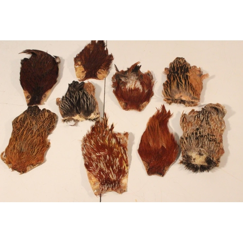 41 - A lot of assorted feathers for fly tying.