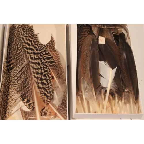 66 - Four boxes of feathers to include Assorted Hen, Woodcock Whole Wings, Florican and Speckled Bustard ... 