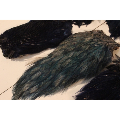 87 - A lot of assorted fly tying feathers