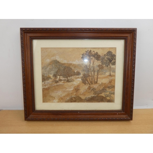 132 - A framed picture made from bark.