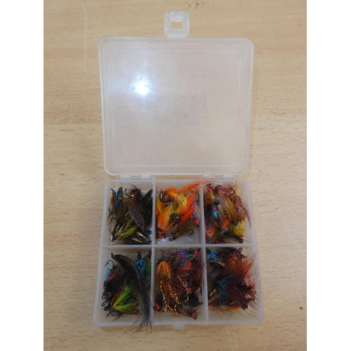 180 - A small plastic storage case and a large lot of flies.