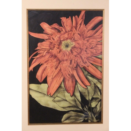 279 - A large gilt framed print of a flower.